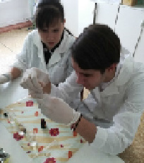 sorok-11.tif