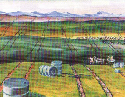 pan-11.tif