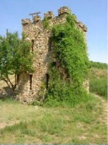 sima-3.tif