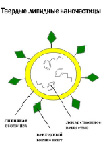 hris-4.tif