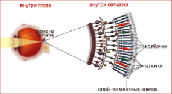 saz-12.tif