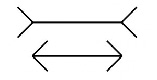 saz-242.tif