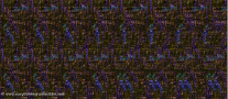 saz-4.tif