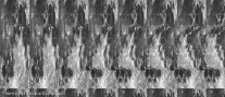 saz-7.tif