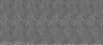 saz-8.tif