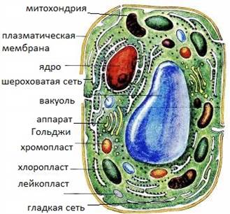 Related image
