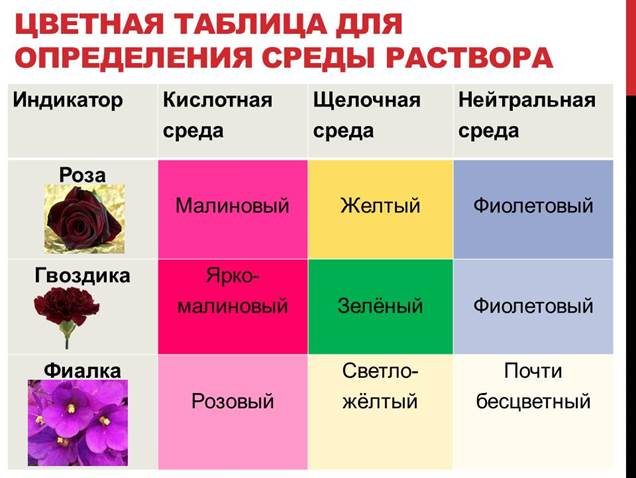 Природные индикаторы проект